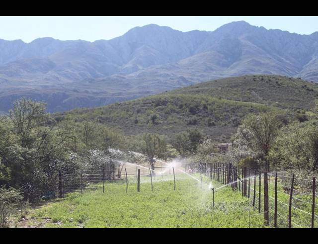 FARM FOR SALE IN OUDTSHOORN RURAL